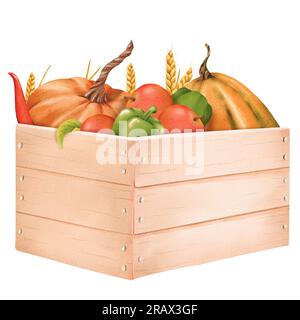 Boîte en bois avec récolte d'automne. Composition aquarelle. Citrouilles, pommes, poivrons doux, piments forts, épis de blé, seigle. pour carte de vœux Banque D'Images