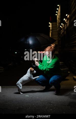 Femme à l'abri de la pluie de Jack russell terrier chien sous parapluie. Banque D'Images