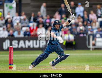 Harry est venu frapper pour le Derbyshire dans un match de Vitality Blast entre Derbyshire Falcons et Worcestershire Rapids. Banque D'Images