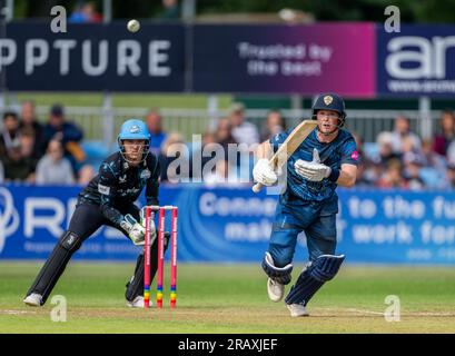 Harry du Derbyshire est venu frapper sous le contrôle du gardien Ben Cox dans un match de Vitality Blast entre les Derbyshire Falcons et les Worcestershire Rapids. Banque D'Images