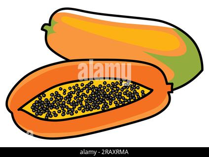 Illustration graphique de papaye isolée sur blanc Illustration de Vecteur
