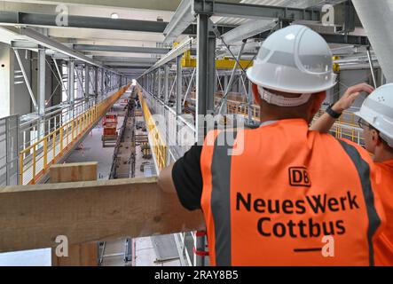 06 juillet 2023, Brandenburg, Cottbus : vue sur le hall de 445 mètres de long sur le chantier de construction de la nouvelle usine de maintenance des trains ICE. Deutsche Bahn a commencé la construction de la nouvelle usine ferroviaire de Cottbus en mai 2022. Le premier de ce qui sera plus tard deux ateliers est construit ici. À partir de janvier 2024, les premiers trains ICE 4, qui mesureront environ 400 mètres de long, seront entretenus et réparés techniquement dans cette salle. Plus de 300 nouveaux employés et stagiaires se sont déjà inscrits pour la future usine DE GLACE. Deutsche Bahn prévoit de créer un total de 1 200 apprentissages et emplois au 'New Banque D'Images