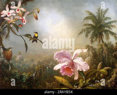 Orchidées nichant des colibris et Un papillon par Martin Johnson Heade Banque D'Images