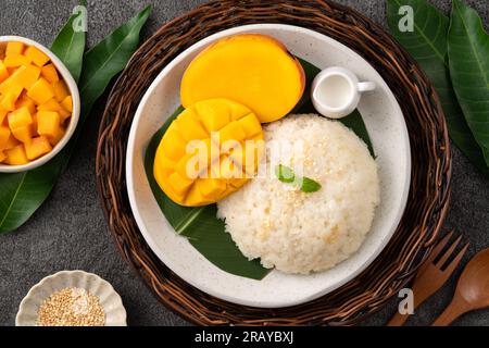 Délicieux riz collant à la mangue thaï avec des fruits frais coupés à la mangue dans une assiette sur fond de table gris. Banque D'Images