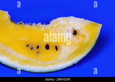 Une tranche de pastèque jaune fraîche sucrée servie sur un plat bleu, sur fond coloré. Banque D'Images