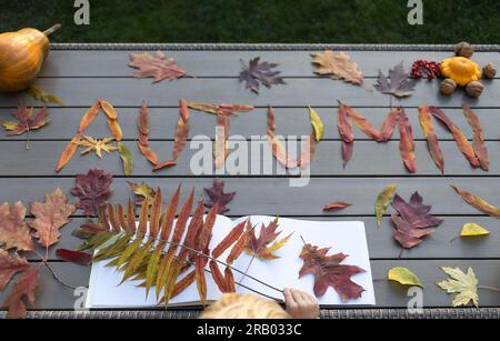 collection de feuilles multicolores colorées tombées de différents arbres disposés sur la table dans le mot automne. Bonjour, automne. matériau naturel pour Banque D'Images