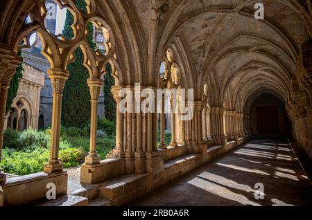 Cloître, Abbaye Royale de Santa Maria de Poblet, Conca de Barbera, Tarragone, Catalogne, Espagne Banque D'Images