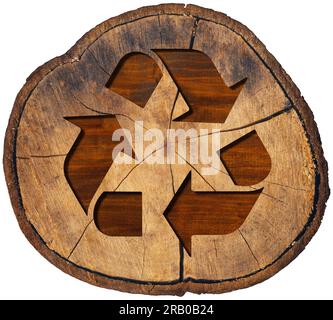 Symbole de recyclage en bois. Coupe transversale d'un tronc d'arbre avec un symbole de recyclage en bois isolé sur fond blanc. Concept de ressources durables. Banque D'Images