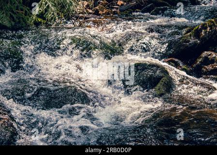 Un ruisseau d'eau de fonte qui descend du mont Arber par une journée ensoleillée au printemps Banque D'Images
