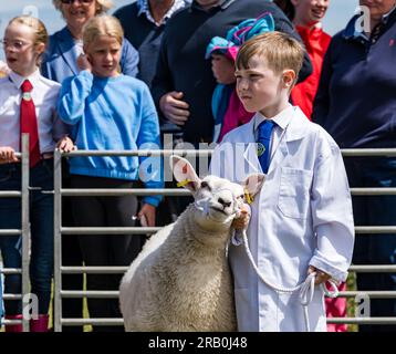 Événement de jugement d'enfant dans les jeunes maîtres de moutons, Haddington Agricultural Show, East Lothian, Écosse, Royaume-Uni Banque D'Images