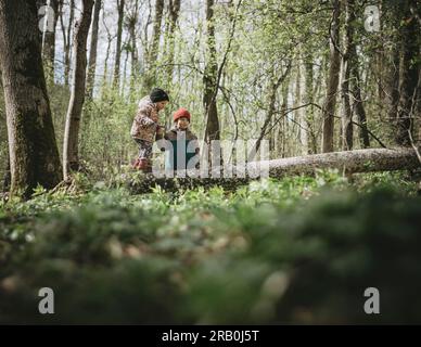 Fille équilibrant sur le tronc d'arbre dans la forêt Banque D'Images