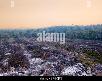 Forêt amazonienne déforestation illégale vue du paysage des arbres coupés et brûlés pour faire des terres pour l'agriculture et le pâturage du bétail au Brésil. Banque D'Images