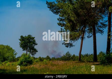 Entre Jüterbog et Felgentreu, le 4 2023 juin, Allemagne, grand incendie de forêt depuis des jours sur l'ancien site militaire, qui est aujourd'hui une réserve naturelle, 150 hectares ont déjà brûlé ces derniers jours Banque D'Images