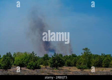 Entre Jüterbog et Felgentreu, le 4 2023 juin, Allemagne, grand incendie de forêt depuis des jours sur l'ancien site militaire, qui est aujourd'hui une réserve naturelle, 150 hectares ont déjà brûlé ces derniers jours Banque D'Images