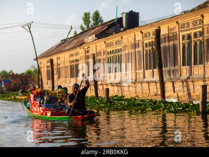 Homme sur un bateau passant devant une péniche sur le lac Dal, Jammu-et-Cachemire, Srinagar, Inde Banque D'Images