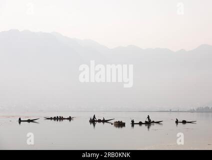 Pêcheurs sur le lac Dal tôt le matin, Jammu-et-Cachemire, Srinagar, Inde Banque D'Images