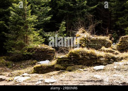 Europe, Pologne, Basse-Silésie, pic Orlica / Orlicke Mountains Banque D'Images