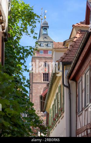 Allemagne, Rhénanie-Palatinat, Neustadt a. d. Weinstraße, vue sur la collégiale. Banque D'Images