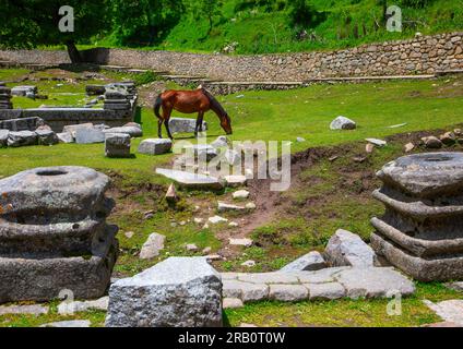 Ruines du temple Naranag sur l'ancien site de pèlerinage hindou, Jammu-et-Cachemire, Kangan, Inde Banque D'Images