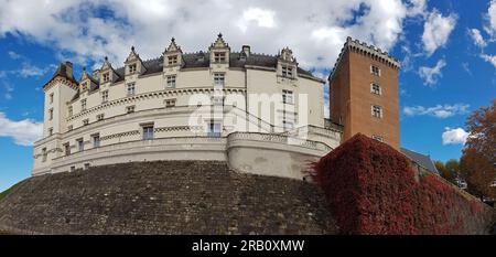 Les murs de l'ancien château de Pau sont situés dans la partie ancienne de la ville Banque D'Images