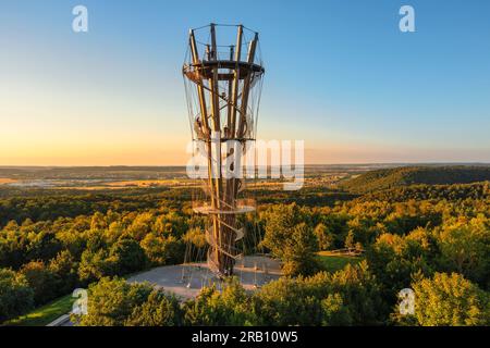 Tour Schönbuch, Parc naturel de Schönbuch, Herrenberg, Bade-Württemberg, Allemagne Banque D'Images