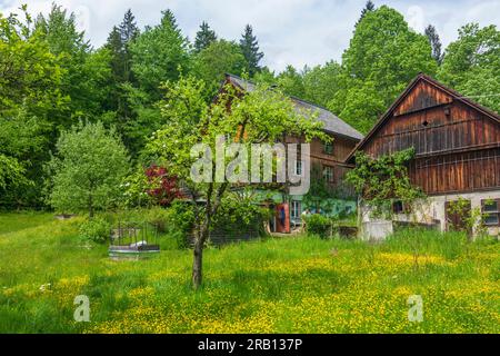 Bad Goisern am Hallstättersee, ferme à Salzkammergut, haute-Autriche, Autriche Banque D'Images