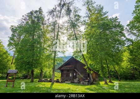 Bad Goisern am Hallstättersee, Holzknechtmuseum (musée du bûcheron) à Salzkammergut, haute-Autriche, Autriche Banque D'Images