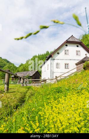 Bad Goisern am Hallstättersee, moulin à eau Anzenaumühle à Salzkammergut, haute-Autriche, Autriche Banque D'Images