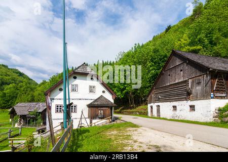 Bad Goisern am Hallstättersee, moulin à eau Anzenaumühle à Salzkammergut, haute-Autriche, Autriche Banque D'Images