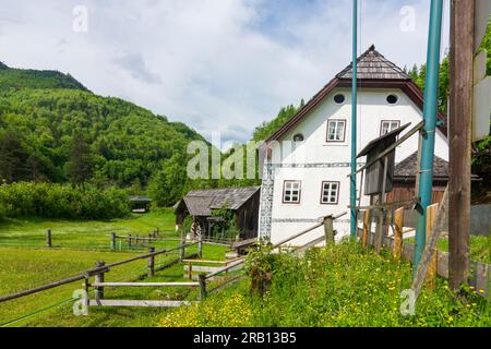 Bad Goisern am Hallstättersee, moulin à eau Anzenaumühle à Salzkammergut, haute-Autriche, Autriche Banque D'Images