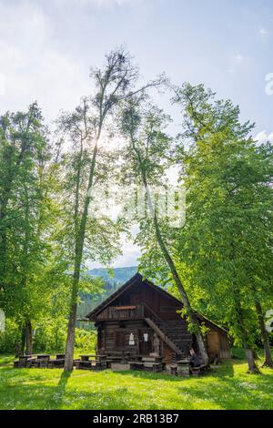 Bad Goisern am Hallstättersee, Holzknechtmuseum (musée du bûcheron) à Salzkammergut, haute-Autriche, Autriche Banque D'Images