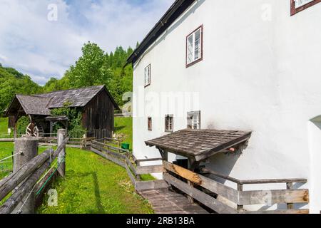 Bad Goisern am Hallstättersee, moulin à eau Anzenaumühle à Salzkammergut, haute-Autriche, Autriche Banque D'Images