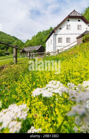 Bad Goisern am Hallstättersee, moulin à eau Anzenaumühle à Salzkammergut, haute-Autriche, Autriche Banque D'Images