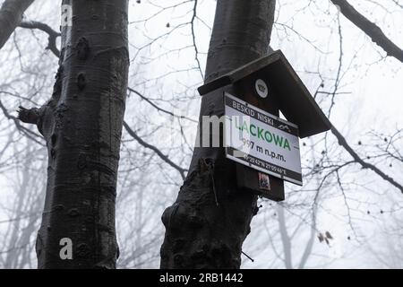 Europe, Pologne, petite-Pologne, Lackowa à Low Beskids Banque D'Images