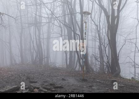 Europe, Pologne, petite-Pologne, Lackowa à Low Beskids Banque D'Images