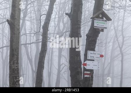 Europe, Pologne, petite-Pologne, Lackowa à Low Beskids Banque D'Images