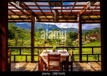 Petit déjeuner dans un cadre pittoresque. Terrasse en bois avec table et chaises, vue sur les rizières le matin. Sidemen, Karangasem, Bali, Indonésie Banque D'Images