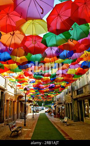 Parapluies colorés dans la rue Agueda, Portugal Banque D'Images