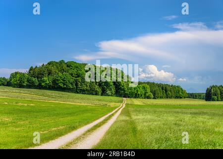 Allemagne, Bavière, comté Rosenheim, Tuntenhausen, district Biberg, Paysage culturel près de Biberg Banque D'Images