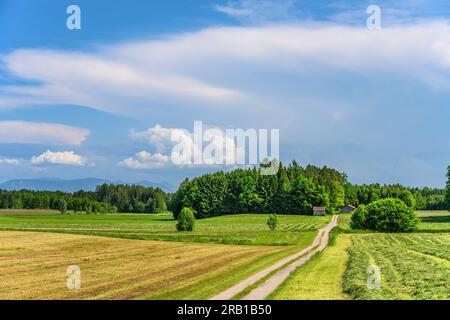 Allemagne, Bavière, comté Rosenheim, Tuntenhausen, district Biberg, Paysage culturel près de Biberg Banque D'Images