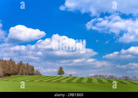 Allemagne, Bavière, Tölzer Land, Dietramszell, district Kleineglsee, paysage printanier Banque D'Images