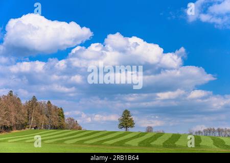 Allemagne, Bavière, Tölzer Land, Dietramszell, district Kleineglsee, paysage printanier Banque D'Images