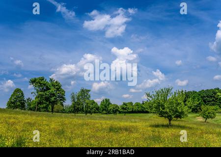 Allemagne, Bavière, Tölzer Land, Wolfratshausen, Golfanlage Bergkramerhof Banque D'Images