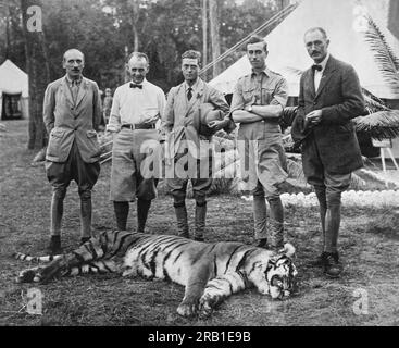 Népal : 29 janvier 1922 le prince de Galles et son tigre de prix qu'il a tiré lors de son expédition de chasse dans l'Himalaya. (G-D) : Lord Cromer, Sir Lionel Halsey, le Prince de Galles, Lord Louis Mountbatten, Colonel Morgan. Banque D'Images