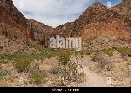 Piste inférieure de Burro Mesa Pouroff menant au canyon box du désert de Chihuahuan Banque D'Images