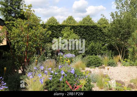 RHS Resilient Garden (Tom Massey), RHS Feature Garden Garden, RHS Hampton court Palace Garden Festival 2023, Londres, Angleterre, Royaume-Uni, Europe Banque D'Images