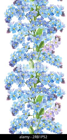 Bordure sans couture aquarelle avec Forget Me Nots, illustration botanique. Parfait pour les cartes de vœux, couvertures, impressions, menus, motifs, scrapbooking Banque D'Images