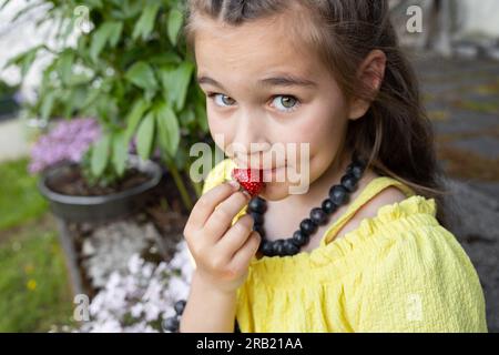 Une fille en jaune est assise près d'un parterre de fleurs dans des perles de myrtille maison et mange des fraises mûres Banque D'Images