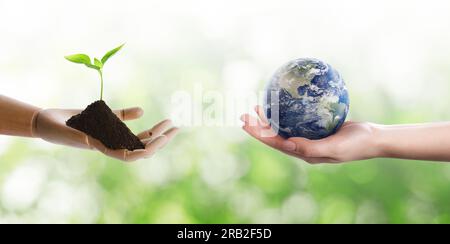 Rendez la Terre verte. Femme tenant le globe, sol avec les semis dans le modèle de main en bois sur fond flou Banque D'Images