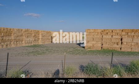 Trois balles de foin à nouer empilées pour nourrir le bétail près de Little Cholame creek et Parkfield, comté de Monterey, Californie. Le foin est la 5e plus grande récolte en Californie. Banque D'Images